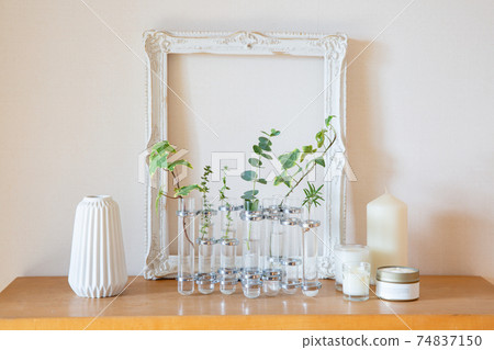 在白色框架上的玻璃管中顯示綠色和自然雜貨 74837150