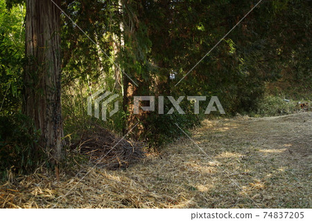 Scenery of the road while climbing ② 74837205