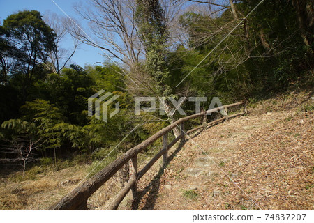 Scenery of the road while climbing 74837207