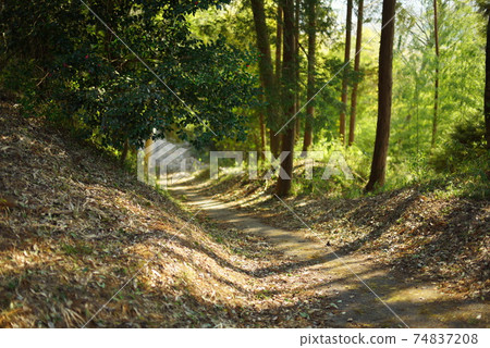 Scenery of the road while climbing ④ 74837208