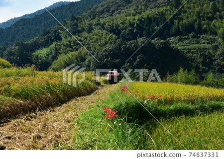 高知縣井野町上川市 74837331
