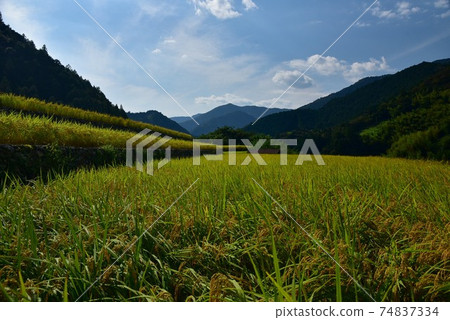 高知縣井野町上川市 74837334