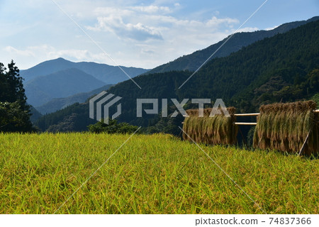 高知縣井野町上川市 74837366