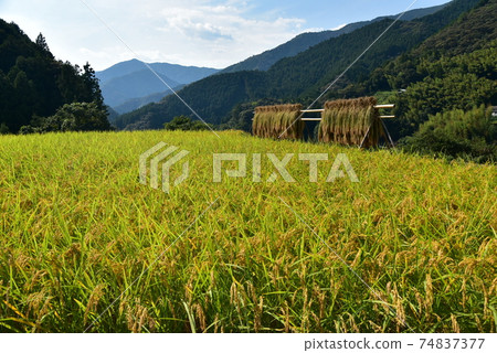 高知縣井野町上川市 高知縣井野町上川市 74837377
