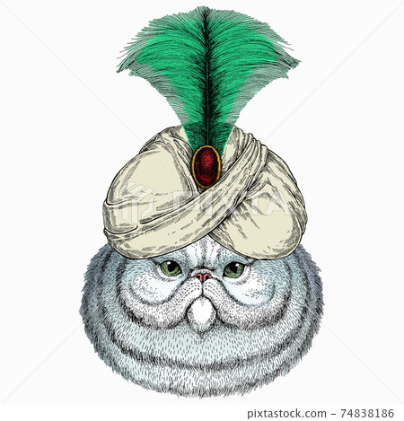 Portrait of persian cat. Vector cat head, face. Animal and wizard hat. Sorcerer and magican Portrait of persian cat. Vector cat head, face. Animal and wizard hat. Sorcerer and magican 74838186