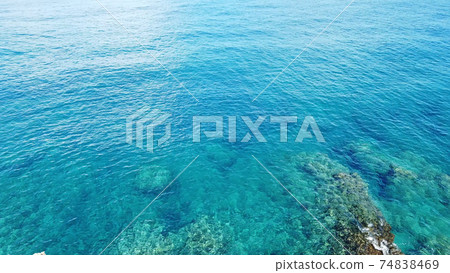 Amami Islands Okinoerabujima Hanzaki 74838469