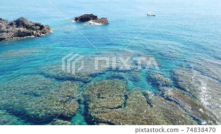 Amami Islands Okinoerabujima Hanzaki 74838470