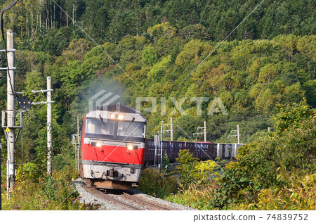 A freight train heading for Obihiro on the Sekisho Line in the morning sun 74839752
