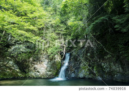 Hida-Kanayama Yokotani Gorge Four Waterfalls Hida-Kanayama Yokotani Gorge Four Waterfalls 74839916