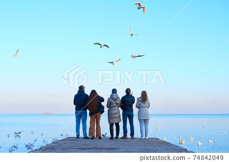 Group of friends feeding seagulls on the beach Group of friends feeding seagulls on the beach 74842049
