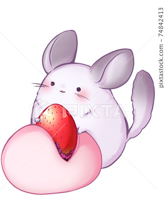 Chinchilla and Ichigo Daifuku Chinchilla and Ichigo Daifuku 74842413