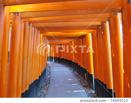 Senbon Torii Stock Photo