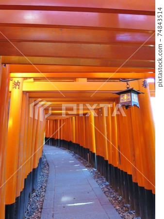 Senbon Torii 74843514