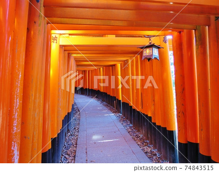 Senbon Torii Senbon Torii 74843515
