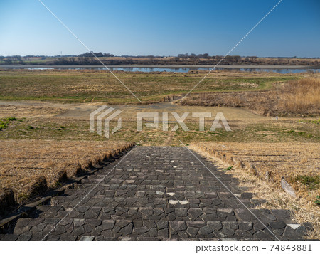 Scenery of Sakai Town, Ibaraki Prefecture in early spring Tone River riverbed 74843881
