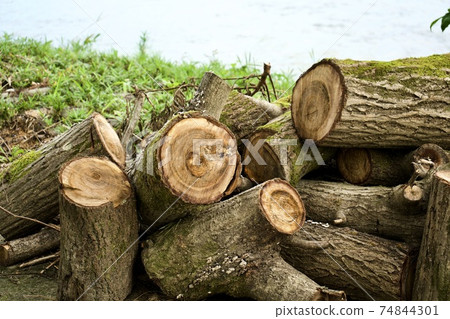 日誌放置 74844301