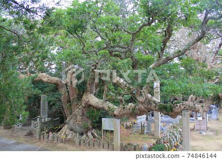 神代寺中的新北“ Hasaki no Otab”（茨城縣神須市） 74846144