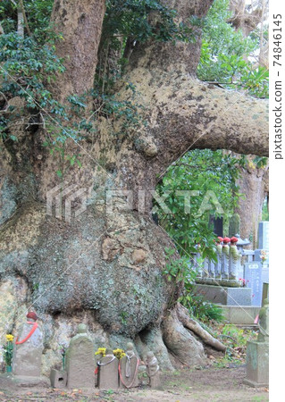 神代寺中的新北“ Hasaki no Otab”（茨城縣神須市） 74846145