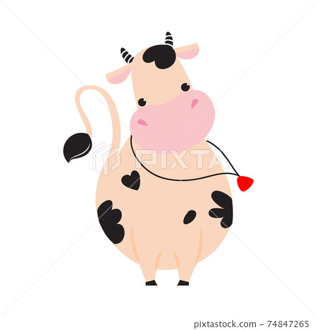 Lovely Baby Cow with Bell, Adorable Funny Farm Animal Cartoon Character Vector Illustration 74847265