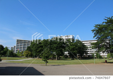 Fukuoka Central Park 74847607