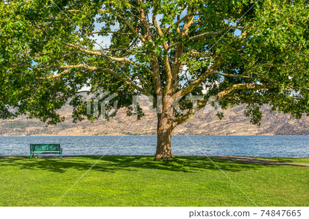 Lonely bench on a lake shore with mountains overview under the chestnut tree Lonely bench on a lake shore with mountains overview under the chestnut tree 74847665