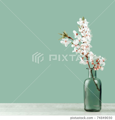 Spring blooming tree branches in a vase on tender soft blue Spring blooming tree branches in a vase on tender soft blue 74849030