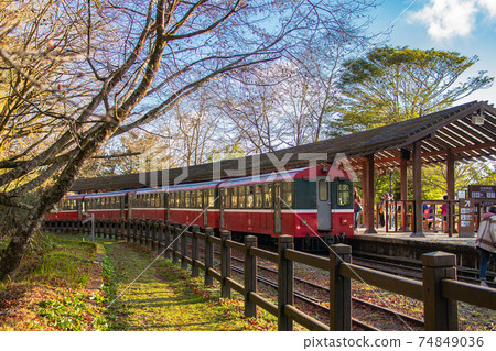 阿里山 對高岳觀日出景色 阿里山 對高岳觀日出景色 74849036
