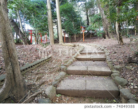 The approach of the shrine The approach of the shrine 74849388