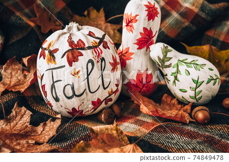 Beautiful painted autumn pumpkins. FALL writing on pumpkin. Autumn harvest. DIY. Autumn leaves season sweater cozy 74849478