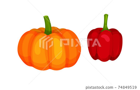Ripe Vegetables as Healthy Raw Food with Pumpkin and Red Bell Pepper Vector Set Ripe Vegetables as Healthy Raw Food with Pumpkin and Red Bell Pepper Vector Set 74849519