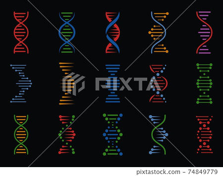 DNA signs. Human chromosome genetic spiral structure, genome helix. Biotechnology molecular icons, isolated vector elements DNA signs. Human chromosome genetic spiral structure, genome helix. Biotechnology molecular icons, isolated vector elements 74849779
