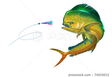 Orange - Yellow dolphin fish attacks bait sea swim squids skirt. Realistic illustration dolphin fish on white background isolate. 74850032