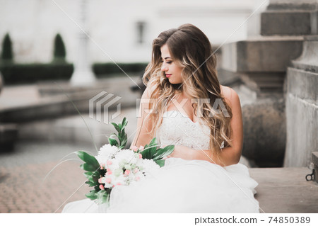 Beautiful luxury bride in elegant white dress 74850389