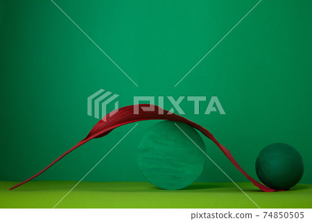 Composition of geometric figures and gentle leaf against green background Composition of geometric figures and gentle leaf against green background 74850505