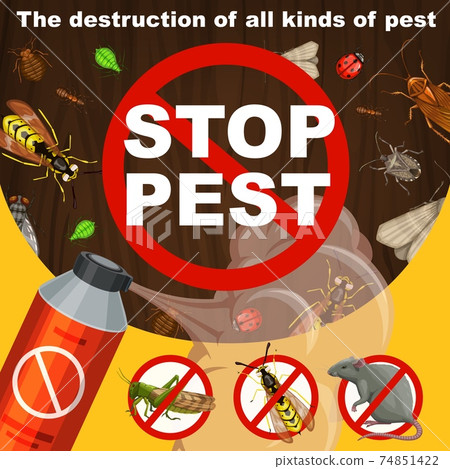 Insects extermination and pest control banner Insects extermination and pest control banner 74851422