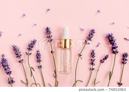 Lavender essential oil with flowers on pink background. Flat lay, top view. Minimal concept. 74852063