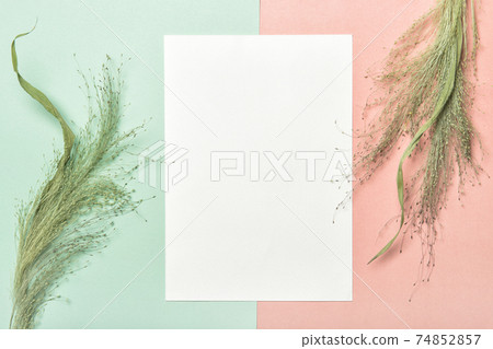 Dried grass pastel colors background template paper mockup Dried grass pastel colors background template paper mockup 74852857