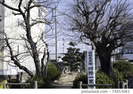 東海道Ano Ichirizuka（北塚） 74853061