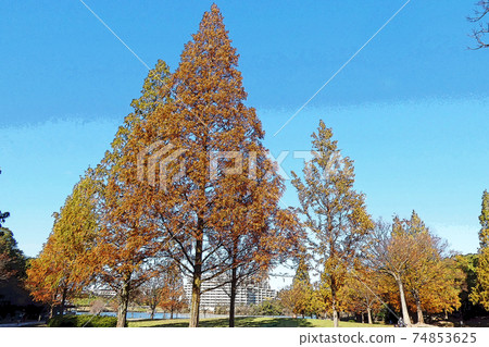 Peace Park Point View 74853625