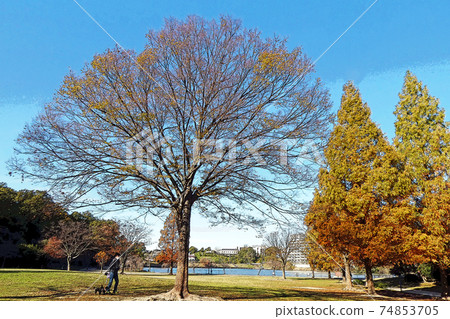 Peace Park Point View 74853705
