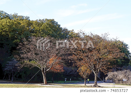 和平公園點觀 74853727