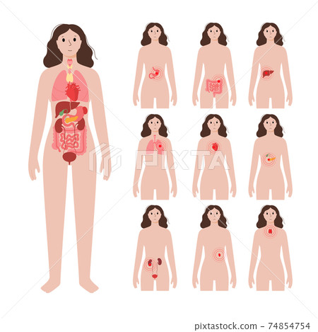 Pain in woman body Pain in woman body 74854754
