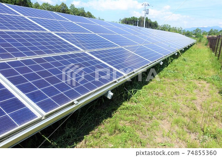 Solar power plant after mowing 74855360