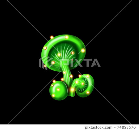 luminescent mushrooms glowing brightly at night. Beautiful fantasy mushrooms set. illustration of magic unusual elements of nature isolated on black background luminescent mushrooms glowing brightly at night. Beautiful fantasy mushrooms set. illustration of magic unusual elements of nature isolated on black background 74855570