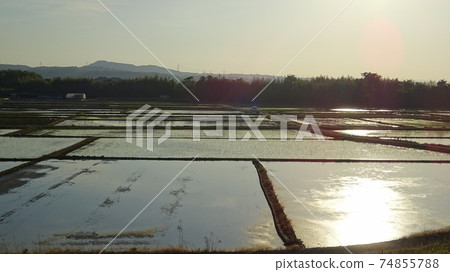 Paddy fields, Asia, the Orient, rice fields, rice fields, agriculture, acreage, farmers, fertile land, original scenery of Japan, breadbaskets, reflections Paddy fields, Asia, the Orient, rice fields, rice fields, agriculture, acreage, farmers, fertile land, original scenery of Japan, breadbaskets, reflections 74855788