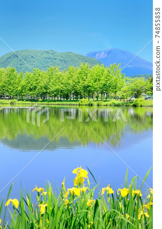 Karuizawa / Yagasaki Park in summer 74855858