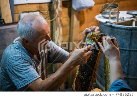 Beekeeper removes excess beeswax with the scraper by hand, preparing for pumping honey. Beekeeper works in the apiary. 74856255