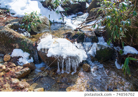 後山步道的五座莊登山點 74856702