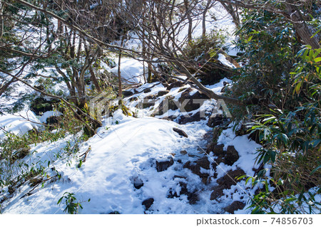 後山步道高山莊登山雪景 74856703
