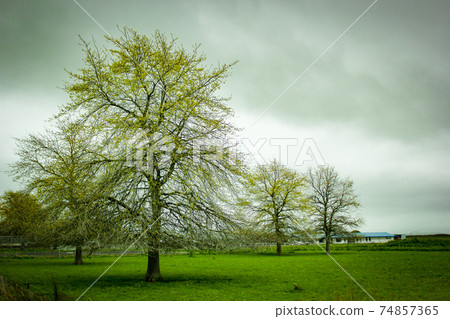 New Zealand magnificent landscape northern 74857365